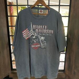 Harley-davidson Men's Grey and Blue T-shirt